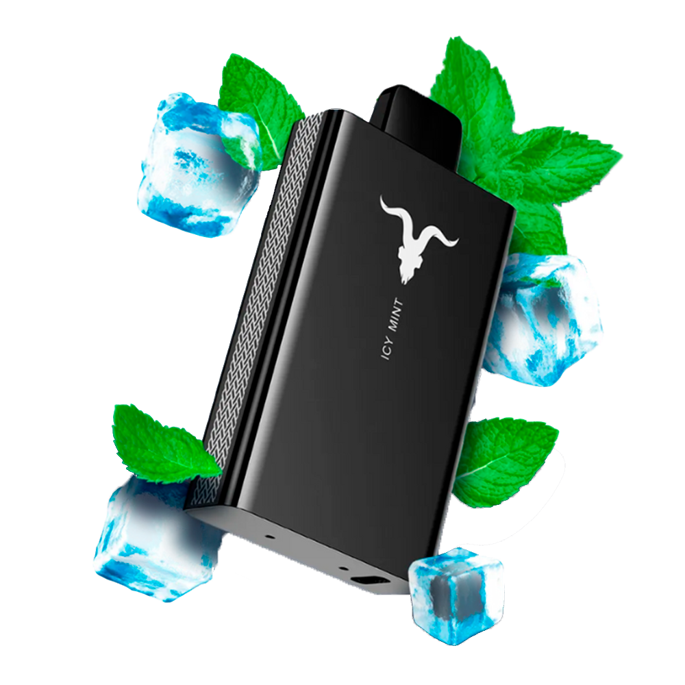 Ignite V80 | Icy Mint