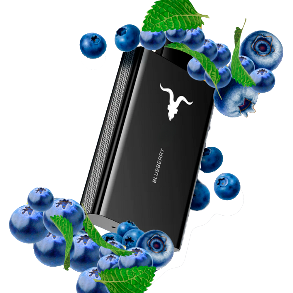 Ignite V80 | Blueberry